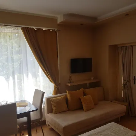 Rózsa *